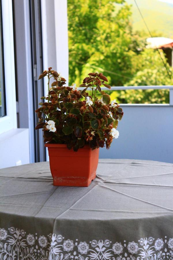 Sighnaghi Inn Kültér fotó